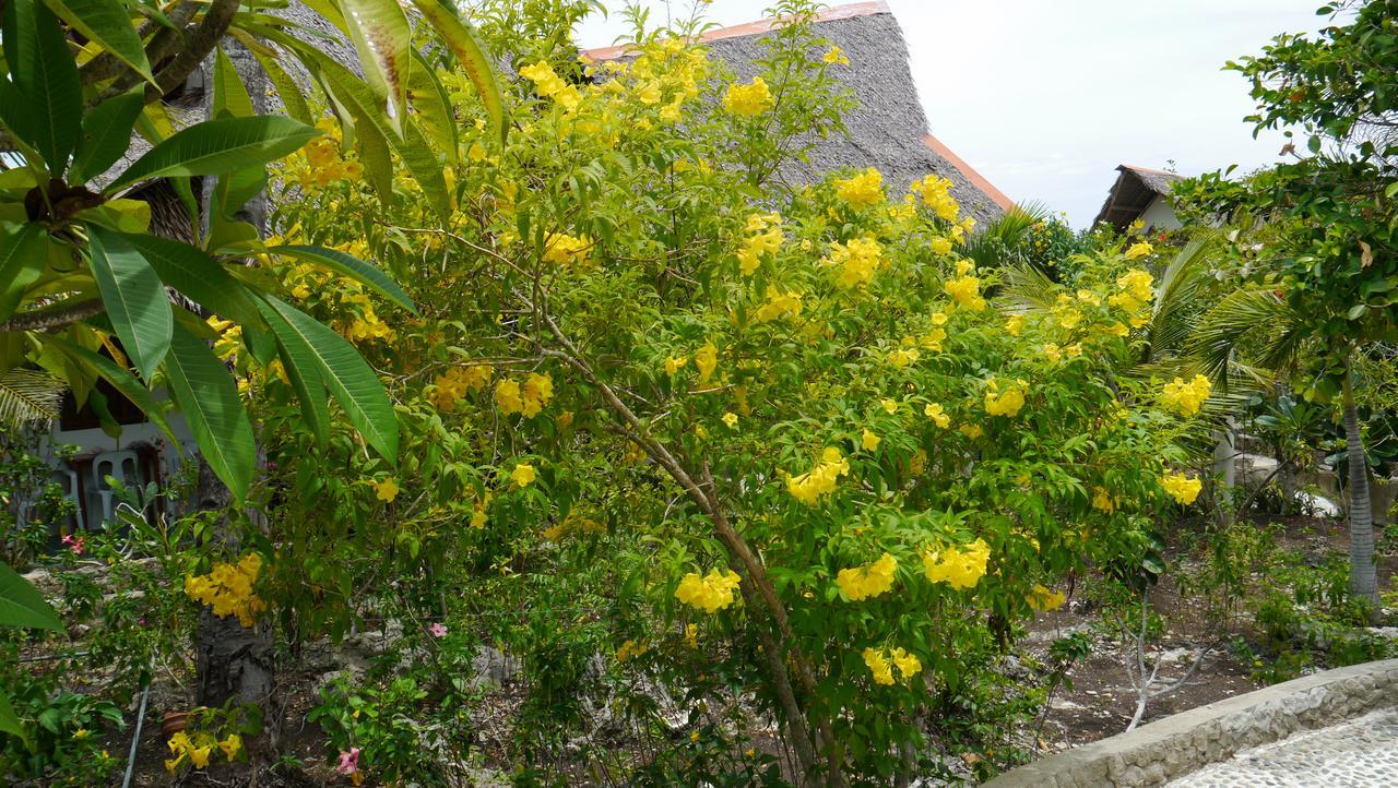 Moalboal T Breeze Coastal Resort Exterior foto